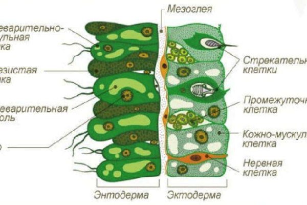 Кракен 2krn